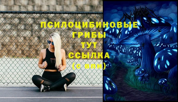 гашик Лихославль